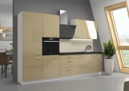 VENUS CAPPUCCINO 310.jpg