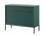 Komoda 2D 2S ZANZI 104 x 83 x 39 cm do salonu, lamele ZIELONY/CZARNY STELAŻ