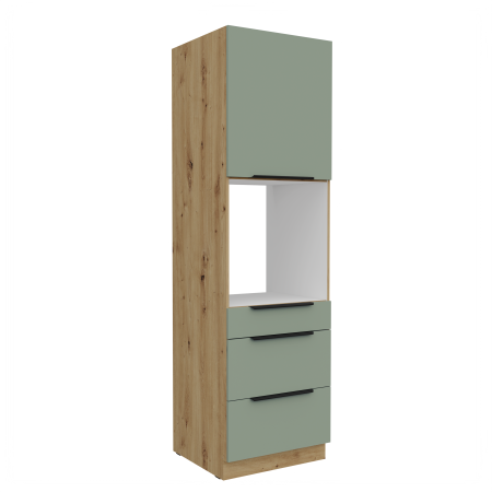 60 DPS-210 1F 3S - ARIA SA-AR.png