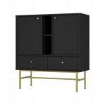 Komoda 2D 2 Szuflady SYDNEY3 - 100 x 108 x 41 CZARNY GRAFIT, Złote akcenty