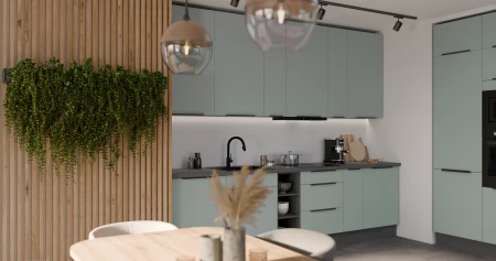 CALIA SA-ANT 1-4.png