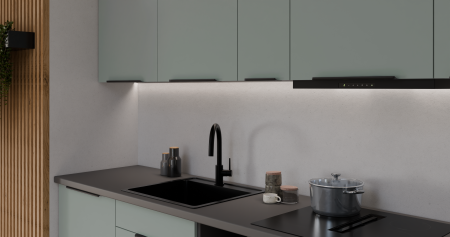 CALIA SA-ANT 1-1.png