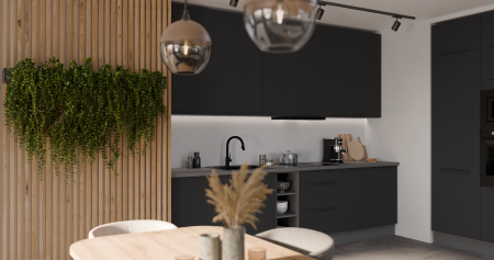 CALIA BL-ANT - 1-3 (2).png