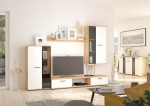 Meble do salonu, pokoju, Meblościanka RIO - 5 kolorów, biały, dąb artisan